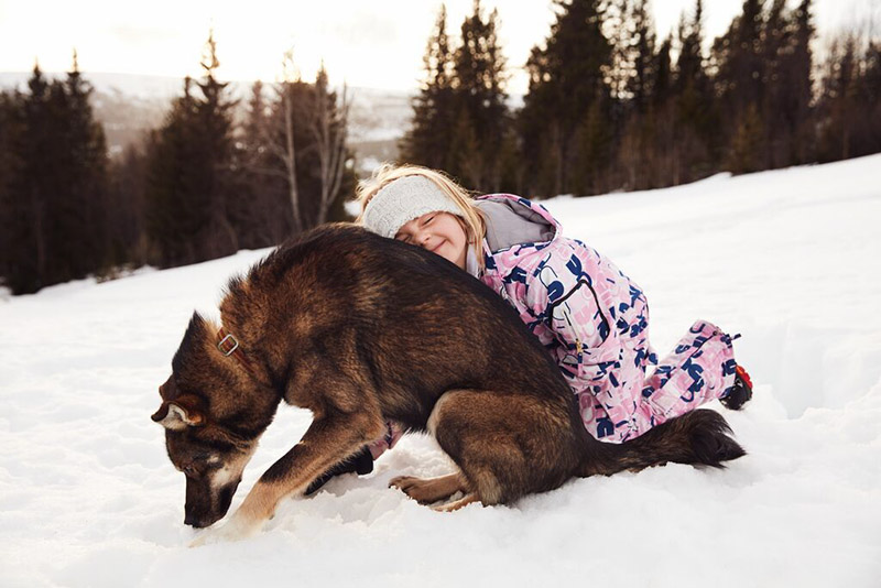 Ein kleines Mädchen im Schneeanzug lehnt sich gegen den Rücken eines Hundes.