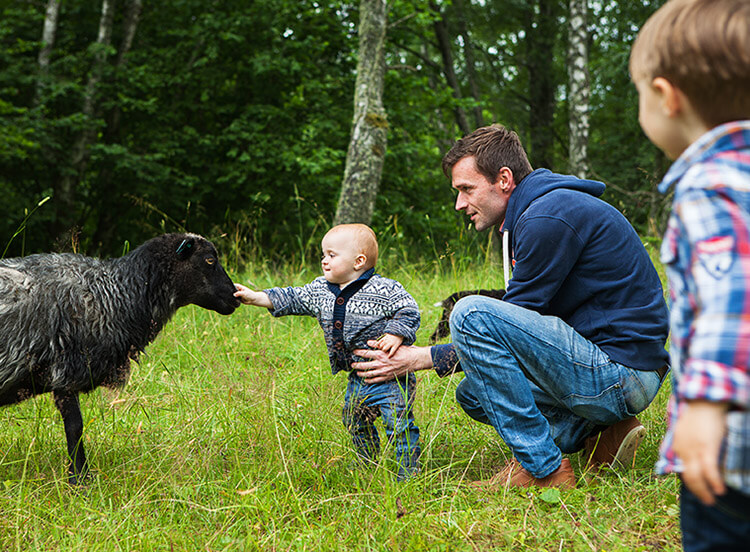 Ein Vater kniet im Gras und hält ein kleines Baby, das ein Schaf streichelt. Am Rand steht ein kleiner Junge und beobachtet das Ganze.