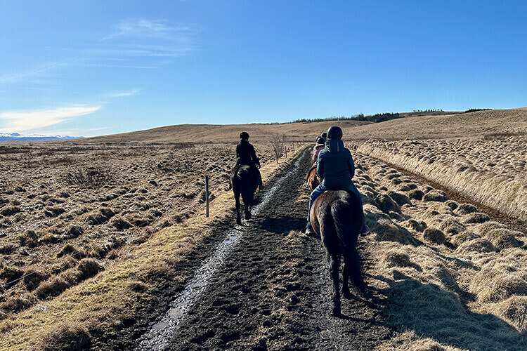Drei Reiter reiten auf einem schmalen Pfad durch eine offene, hügelige Landschaft unter blauem Himmel