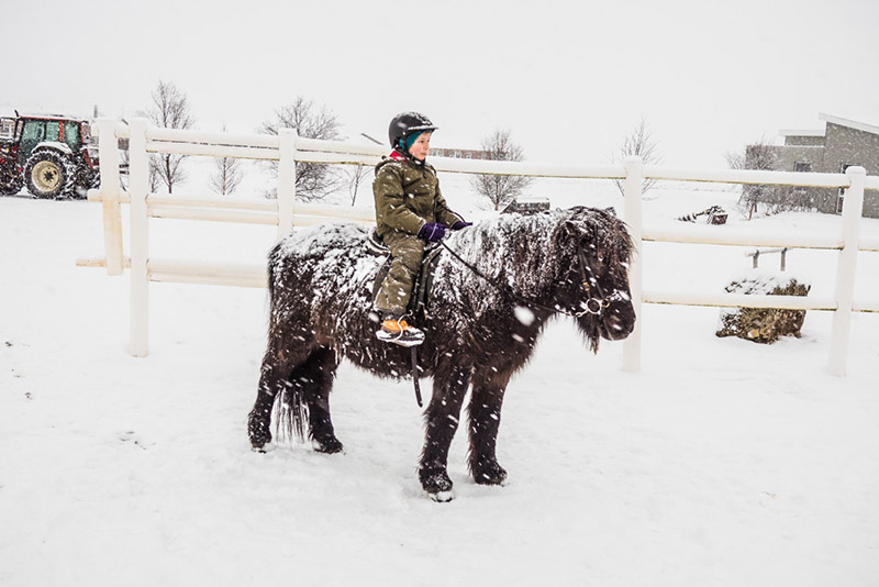 Ein kleiner Junge sitzt auf einem Pony während es schneit.