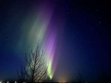 Grün- und lilafarbiges Nordlicht am Sternenhimmel.