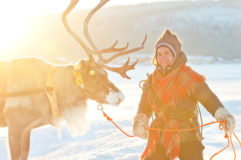 Eine Frau in samischer Tracht hat ein Rentier an der Leine. 