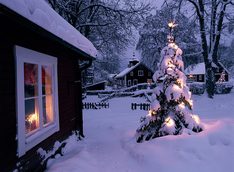 Ein schneebedeckter Garten in dem ein Tannenbaum mit einer Lichterkette steht.