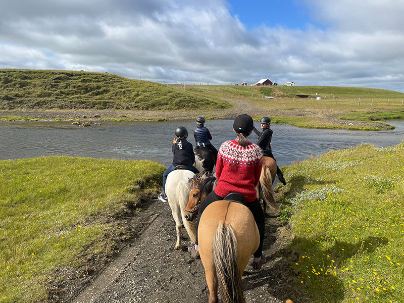 Mehrere Reiter auf Islandpferden vor einem Fluss.