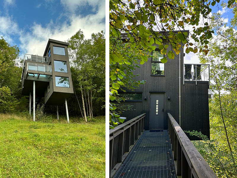 Baumhaus an einem grünen Hang zunächst von unten fotografiert, rechts ist der Eingang des Baumhauses.