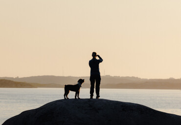 Anreise und Einreise nach Skandinavien mit Hund