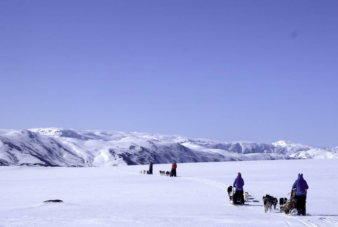 Huskyabenteuer im Nationalpark Jotunheimen