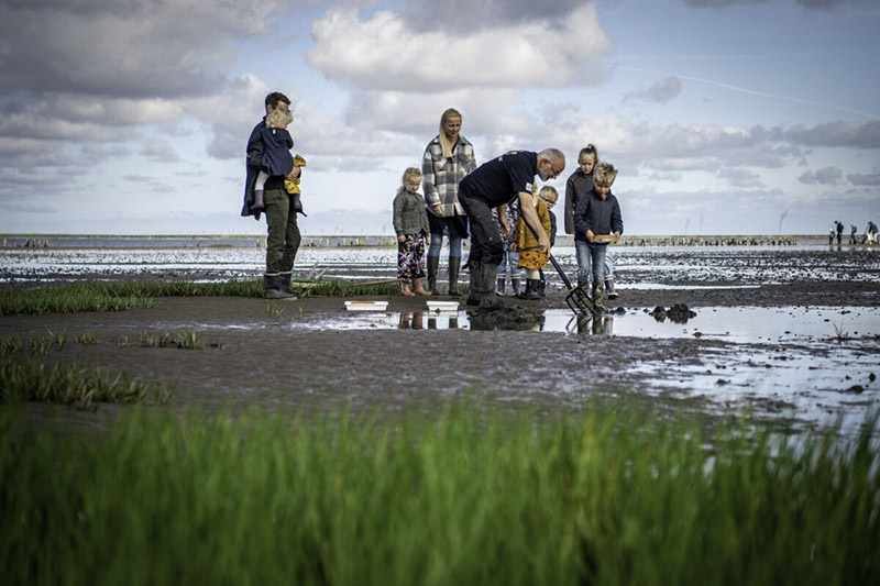 Eine Gruppe Erwachsener und Kinder steht im Wattenmeer. Ein Mann steht vor der Gruppe und zeigt ihnen etwas im Boden.