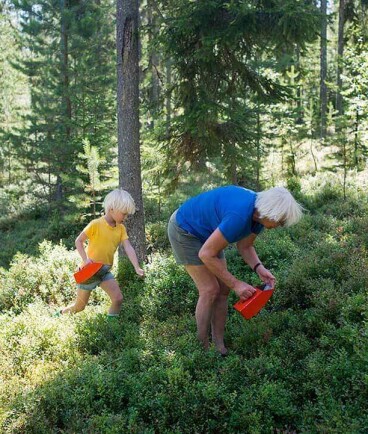 Aktiver Familienurlaub in Schwedisch Lappland