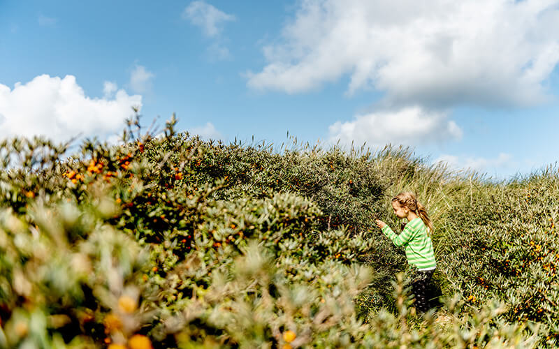 Kind in grün gestreiftem Pullover untersucht das dichte Gebüsch unter blauem Himmel mit Wolken.
