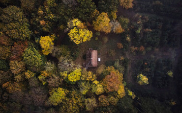 Luftaufnahme eines kleinen Hauses mit Terrasse, umgeben von Bäumen in einem Waldgebiet.
