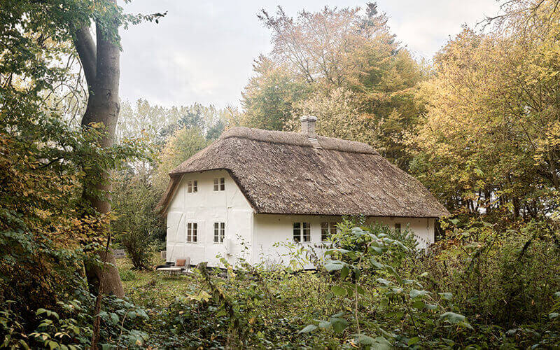 Weißes Ferienhaus mit Reetdach, umgeben von dichtem herbstlichem Laub und Bäumen.