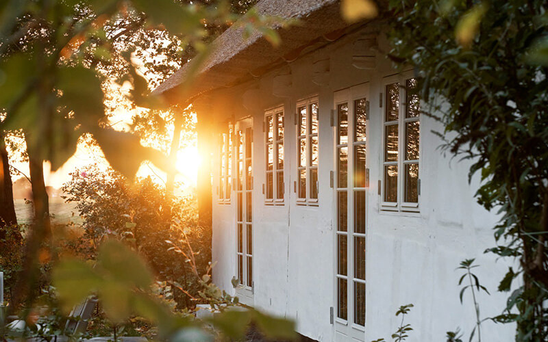 Sonnenlicht fällt durch Bäume auf die Fassade eines weißen Ferienhauses mit mehreren Fenstern und einer Tür.