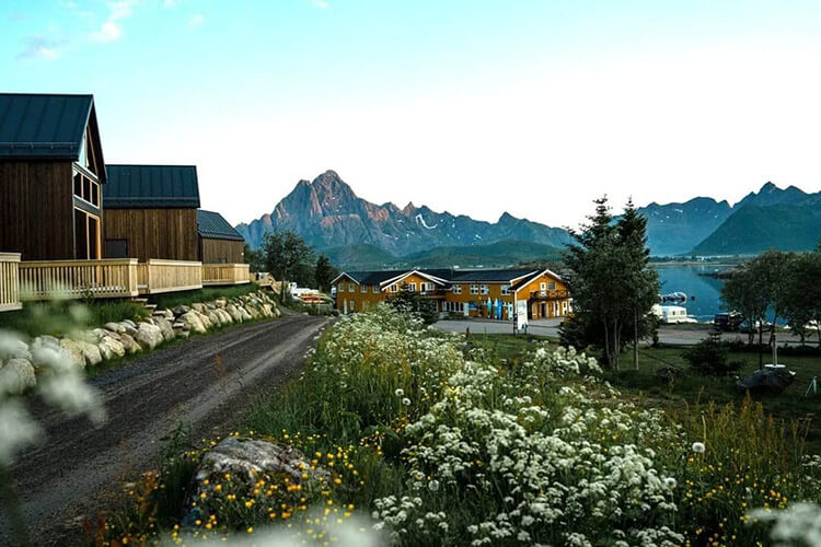 Blick auf einen kleinen Ort mit Holzhäusern, blühenden Wiesen und Bergen im Hintergrund an einem Fjord.