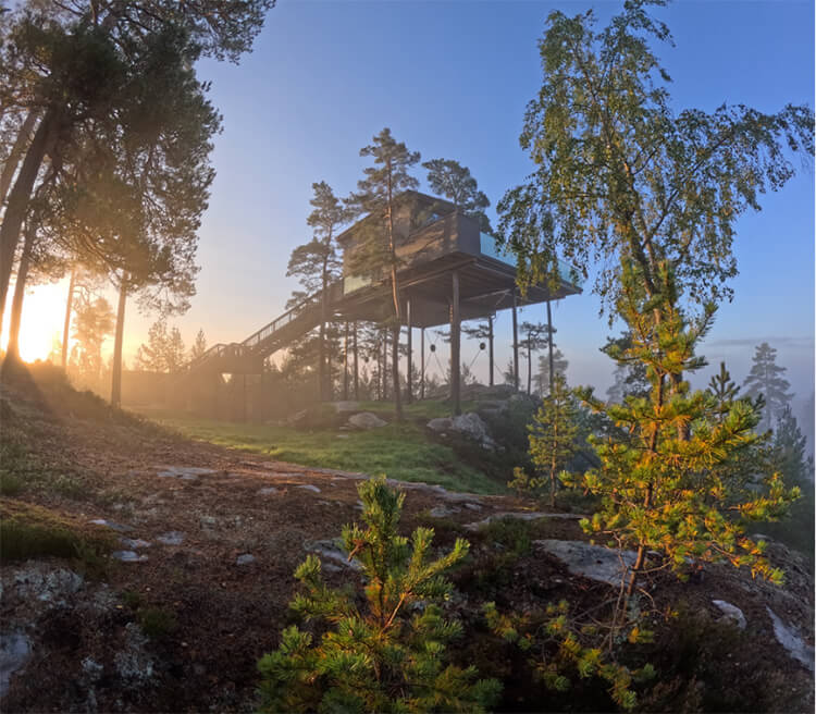Ein modernes Baumhaus in einer herbstlichen Landschaft.