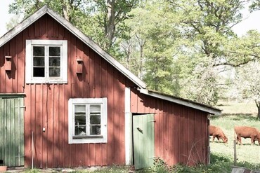 Rotes Holzhaus mit weiß gerahmten Fenstern und grünem Türchen auf einer Wiese mit Bäumen und zwei grasenden Kühen im Hintergrund