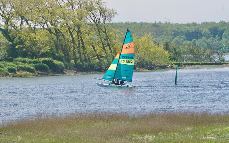 Katamaran mit blau-grünem Segel auf ruhigem Fluss vor bewaldetem Ufer.