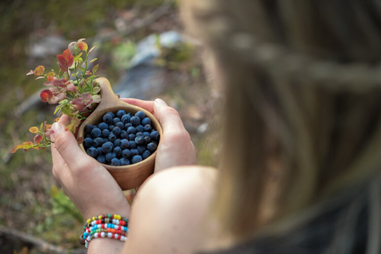 Nahaufnahme von zwei Händen, die eine Holzschale mit Blaubeeren und einem kleinen Blaubeerzweig halten