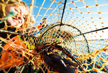 Nahaufnahme eines Hummers in einem Fangkorb mit einem lächelnden Kind im Hintergrund