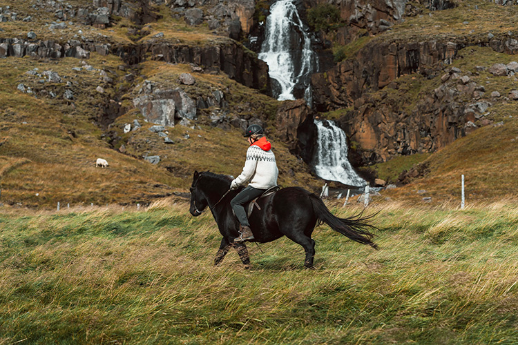 Person mit Islandpullover, roter Kapuze und einem schwarzen Helm reitet auf einem schwarzen Pferd über eine Wiese vor einen Wasserfall.