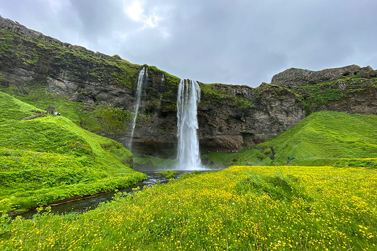 Wasserfall stürzt von einer Felsklippe in eine grüne Landschaft mit gelben Blumenwiese und bewölktem Himmel