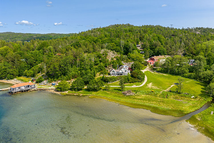 Blick aus der Vogelperspektive auf eine Landschaft mit Wald, Wiesen und einzelnen Häusern im Hintergrund und dem Meer im Vordergrund.