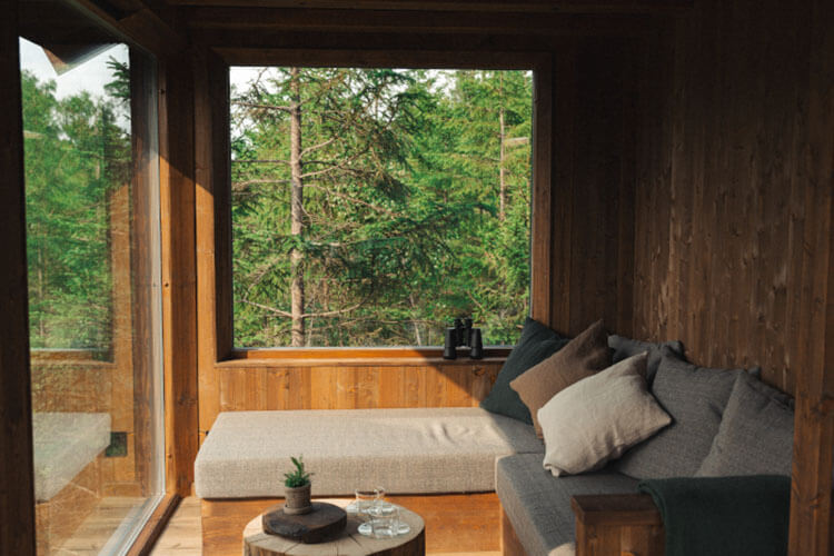 Wohnzimmer in einem Baumhaus mit holzverkleideten Wänden, bodentiefen Fenstern mit Blick in den Wald und gemütlichem Sofa.