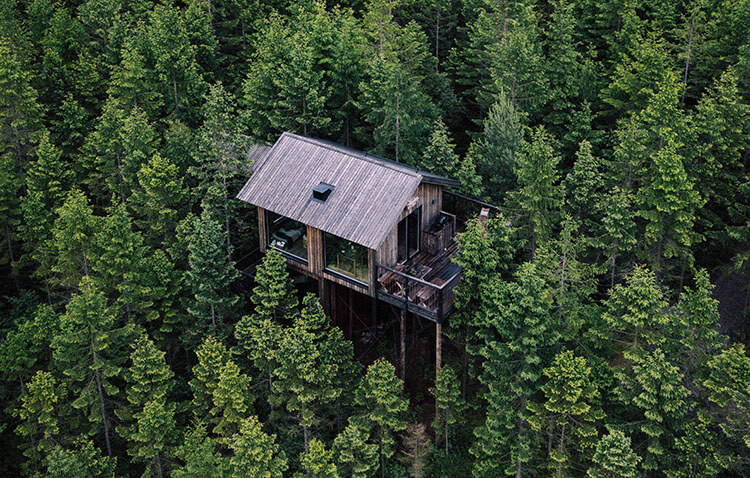 Blick aus der Vogelperspektive auf ein Baumhaus mit Terrasse, das einzeln im Nadelwald und auf Stelzen steht.