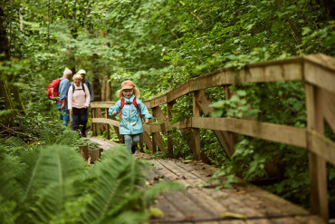 Eine Familie wandert über einen Holzsteg durch den dichten Laubwald.