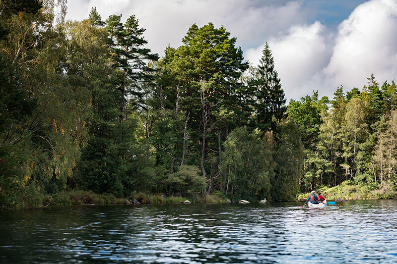 Zwei Personen paddeln in einem Kanu auf einem ruhigen See vor einem dichten Wald mit hohen Nadel- und Laubbäumen unter bewölktem Himmel.