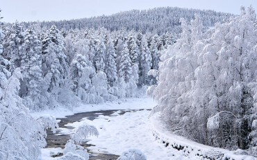 Ein Fluss, der sich durch eine Winterlandschaft schlängelt.