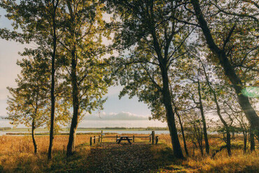 Ein Holzsteg vor einer Weidenlandschaft und Wasser.