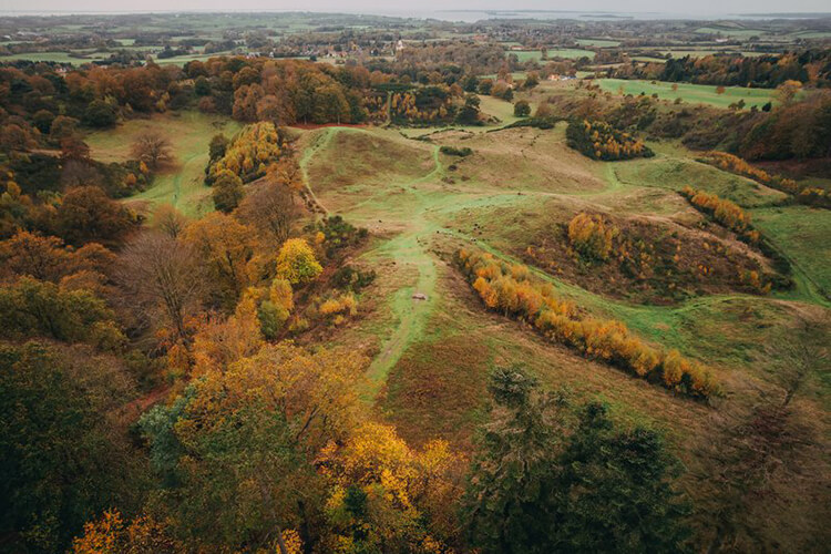 Eine herbstliche Heidelandschaft.