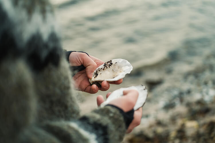 Eine Person hält eine Muschel in der Hand.