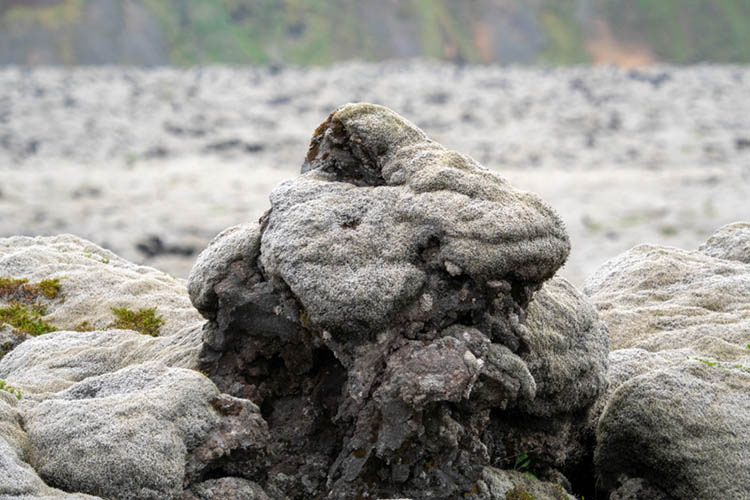 Nahaufnahme von moosbedecktem, unregelmäßig geformtem Felsen in einer kargen Landschaft