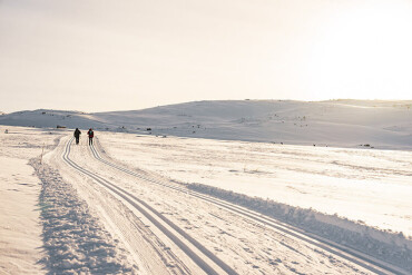 Schneelandschaft mit Sonne und Langlaufloipen. Im Hintergrund zwei Skifahrer.