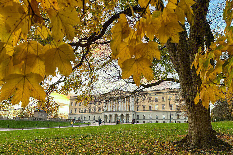 Das Schloss in Oslo ist im Hintergrund zu sehen, im Vordergrund steht ein Baum mit gelben Blättern.