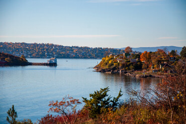 Der Oslofjord von oben mit bunten Bäumen.