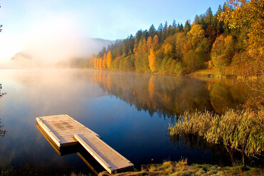 Ein Steg auf einem See, der umgeben ist von bunten Bäumen und leichtem Nebel.