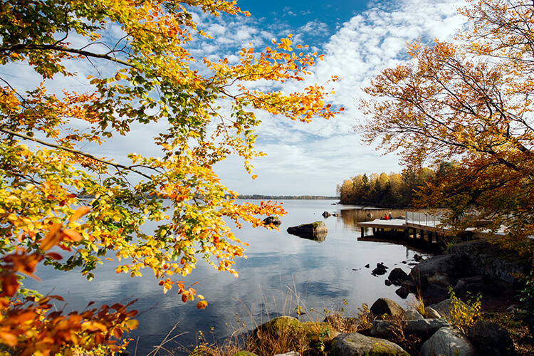Herbstliche Landschaft mit bunten Laubbäumen an einem ruhigen Seeufer in Stockholm mit Steg und Felsen im Vordergrund