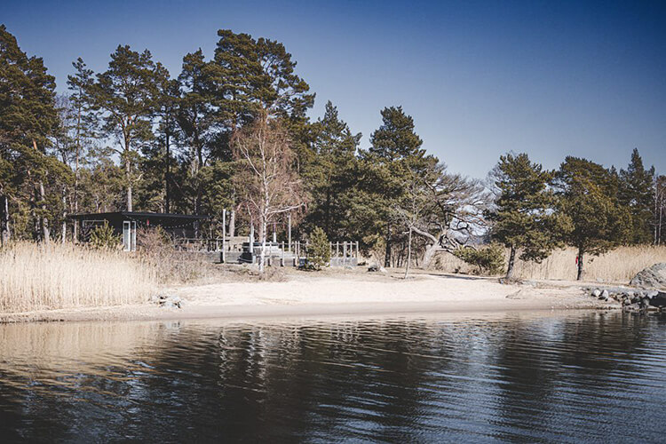 Ufer mit Sandstrand, Schilf und Bäumen vor klarem Himmel