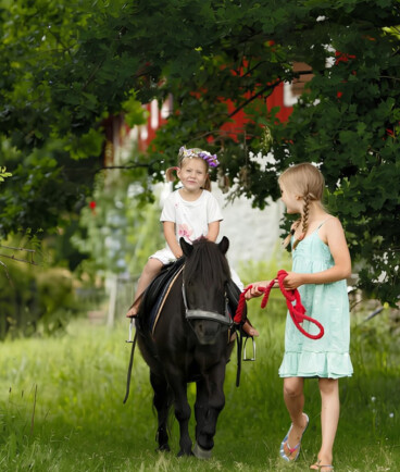 Familienbauernhof auf Öland