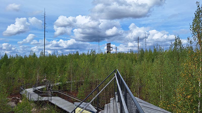 Holzsteg mit Geländer führt durch eine grüne Waldlandschaft unter bewölktem Himmel
